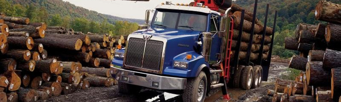 2018 Western Star 4900 SB Sleeper for sale in California Truck Centers, Sacramento, California