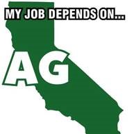 Go to mjdoamag.com